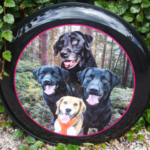 Blended dogs wheelcover.