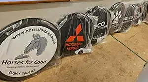 Wheel Covers - Ready to go